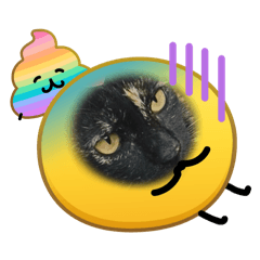 It's a black cat na