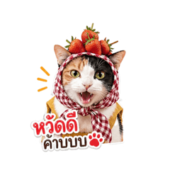 Strawberry Cat - NamJimKai