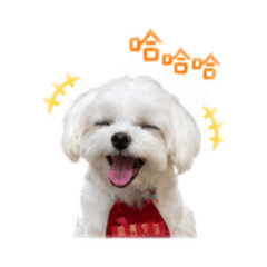 瑪爾球球