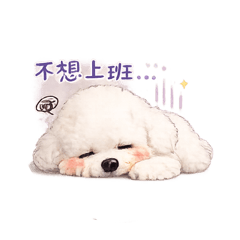 小七Baby