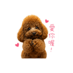 小波問候語