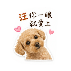 我是維尼～不是狗