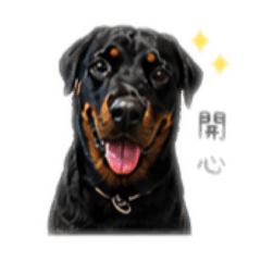 喜多羅