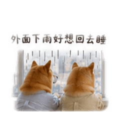Haru&Hari