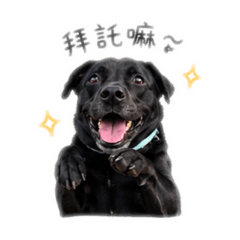 美美少女系列