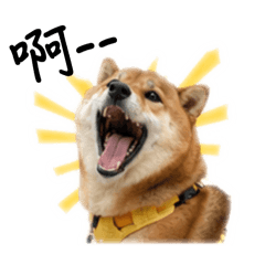 Bingo cchaha（1）