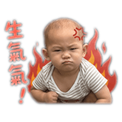 王11 の日常
