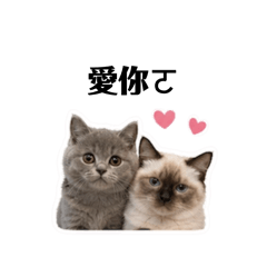 仙女&小吉