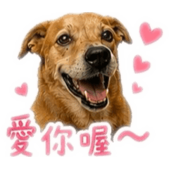 糖糖的萬用貼圖❤️