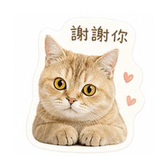 咪露～Part1
