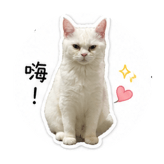 Nigi～