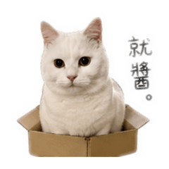 麻糬表示⋯