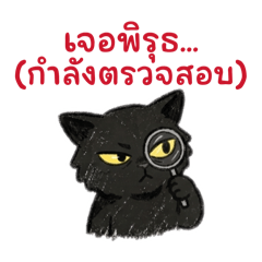 Judgey Cat