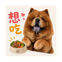鬆獅圓圓小公主