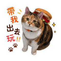 小花3號