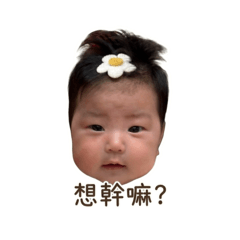 小紅豆可愛的日常
