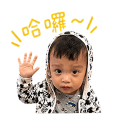 小龍龍-日常用語R瑞