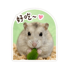 鼠麗葉（鼠鼠）