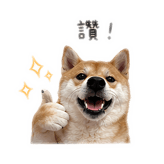 我是拉比拉比是我