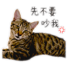 小屋出任務