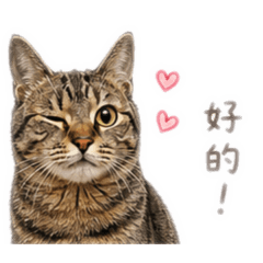 在下泡芙!