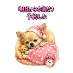risa_20260429203801