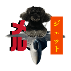 suguruu_20260429203854