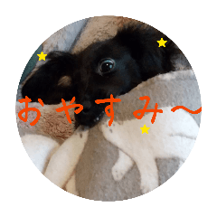 Hirom_20260429203919
