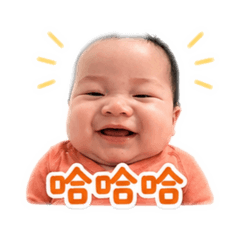 芯寶I。