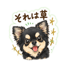 kazumin_20260430082556