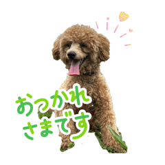PuiPuiNynwao_n_20260430083832