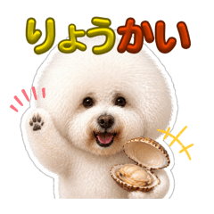 sasa_20260430084019