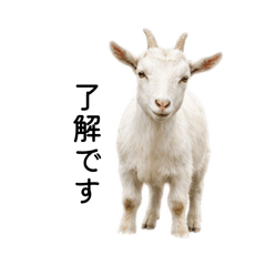 n farm_20260430093354