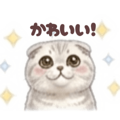 Yomuchan_20260430085352