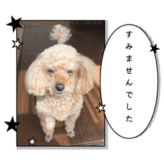sayuki_20260430093534