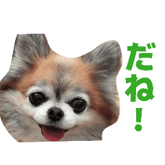 monamochi_20260430094735
