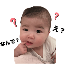 babykoto2026