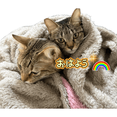 mikutan!!_
