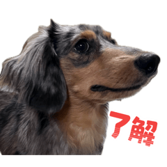 erika_20260430095031