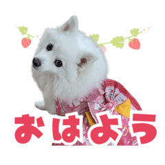 ponta_20260430174035