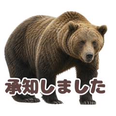 spottedseal_20260429211344