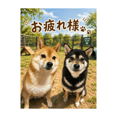 KINAKO_20260429211352