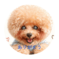 SIMBA930_20260429210532
