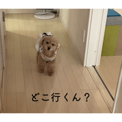 kokonostampdesu