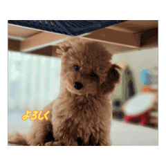 taiki_20260430155218