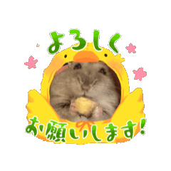 o ne ne_20260430195858
