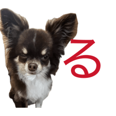 ryo_20260429212541