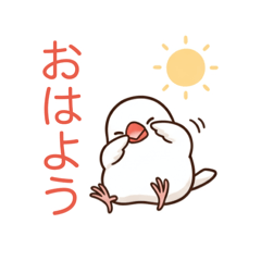 BUNCHO_20260430101941