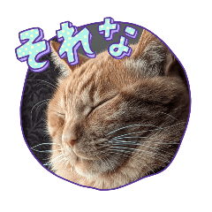 yukichi_20260430101410