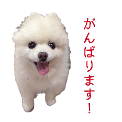 mattsunko_20260430101946
